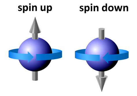 Quantum Particles Leptons Biblical Science Institute