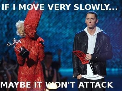 just for fun pic what eminem really thinks about lady gaga
