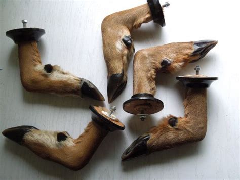 Contemporary coat hook chiodo schiaccia chiodo Vintage Deer Foot Coat Hook - Vintage Taxidermy ...