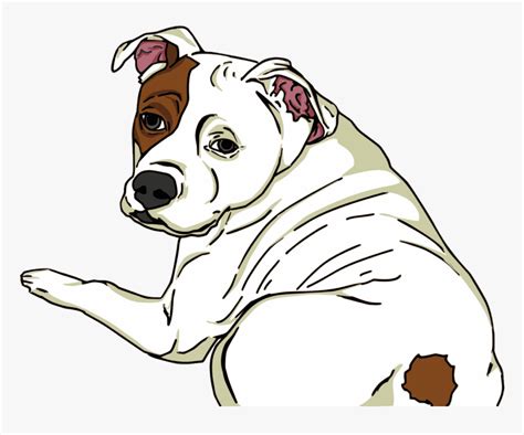 American Bulldog Clipart Hd Png Download Kindpng Posted By Michelle