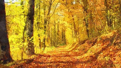 Sunny Forest By Invisiblerebel On Deviantart