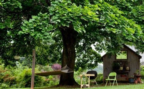 Flower gardens and beds (80). 40 Amazing Big Tree Landscaping Ideas | Fast growing shade ...