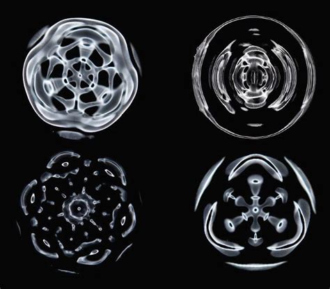 Bassamfellows Cymatics