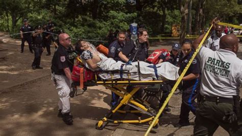 Clues Still Sought A Year After Mysterious Central Park Explosion Cost