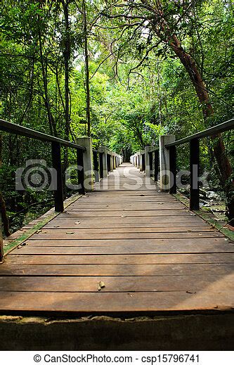 Path Bridge Path With Wooden Bridge In The Woods Canstock
