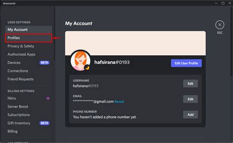 How To Customize Your Discord Profile On Pc Laptrinhx