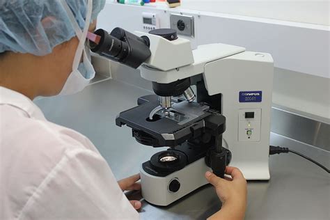 顕微鏡、 顕微鏡、 研究室、 診断、 白、 医療と医学、 職業、 科学、 研究、 教育、 研究室、 屋内、 技術、 実験装置、 検査、 光学