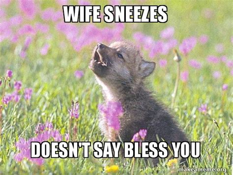 Wife Sneezes Doesnt Say Bless You Baby Insanity Wolf Make A Meme
