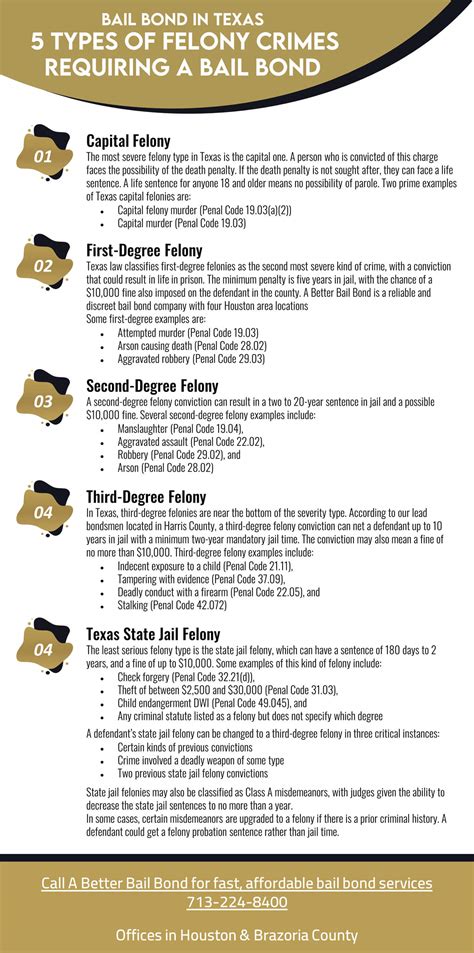 5 Types Of Felony Crimes Requiring A Bail Bond Infographic New