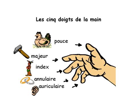 Les Cinq Doigts De La Main