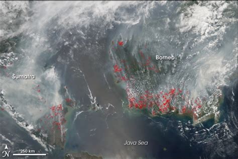 Here's why we should pay attention. 100 flights cancelled due to forest fires in Indonesia ...