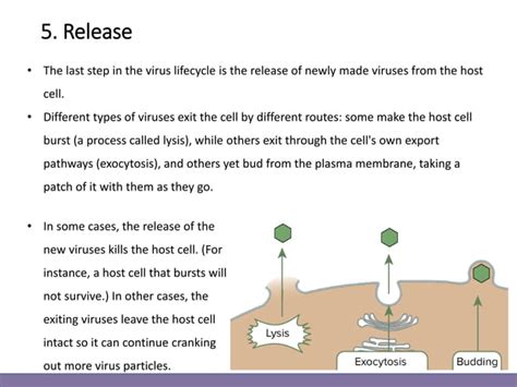 Introduction To Virology