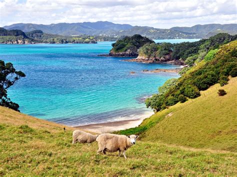Have You Heard Of These Secret Islands In New Zealand Travel Insider