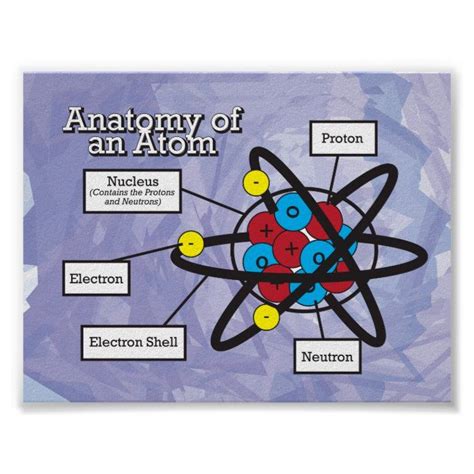 Anatomy Of An Atom Poster Zazzle Chemistry Posters Science Poster