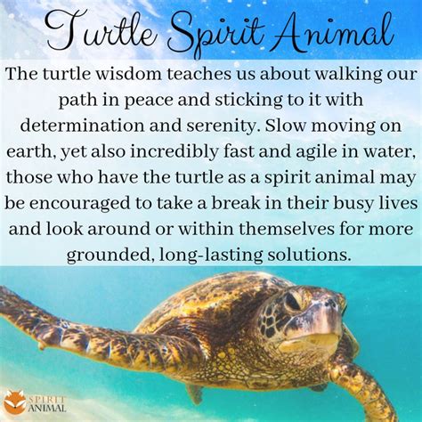 Turtle Totem Turtle Spirit Animal Turtle Quotes Turtle