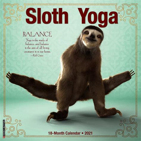 Yoga Sloth The Best Way To Relax And Connect With Your Body Mudfooted