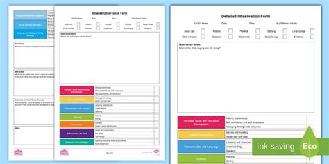 Eyfs Detailed Observation And Next Steps Template