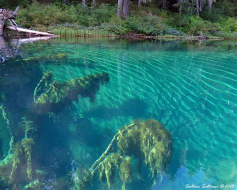 Clear Lake Underwater Worlds Wpc Bend Branches