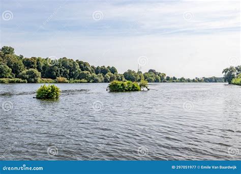 Maas River With Calmly Flowing Waters Between Abundant Green Leafed