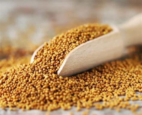 Health Benefits Of Yellow Mustard Seeds By Expert In Hindi Health