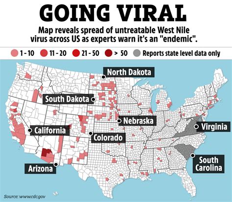 Deadly Spread Of West Nile Virus Thats Killed 19 Across America Revealed In Chilling Map The