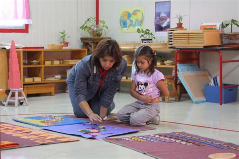 La Preparación De Una Guía Montessori Va Más Allá Del Curso De