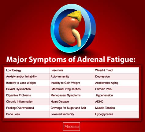The 7 Key Phases Of Adrenal Fatigue Adrenal Fatigue Adrenal Function
