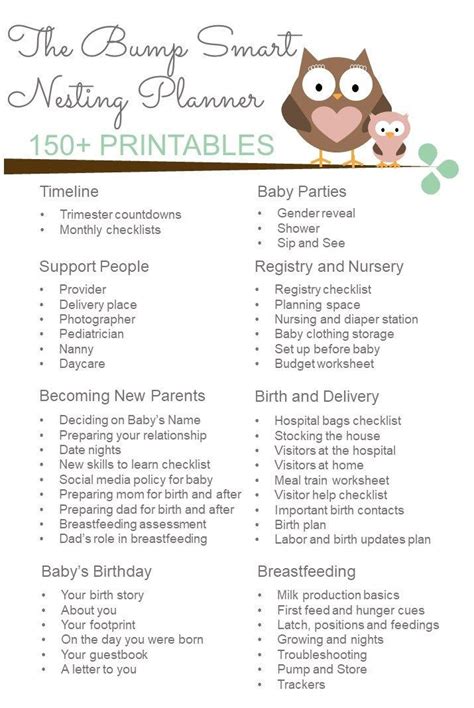 20 The Bump Birth Plan Template