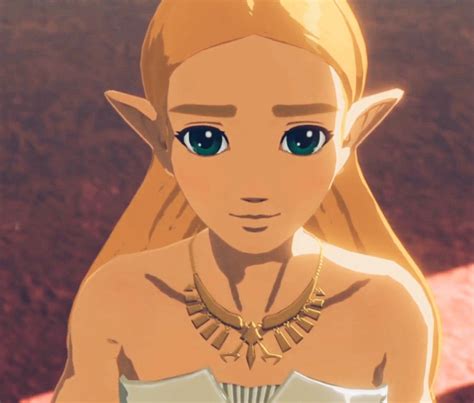 Hw Age Of Calamity Princess Zelda Zelda Art Legend Of Zelda