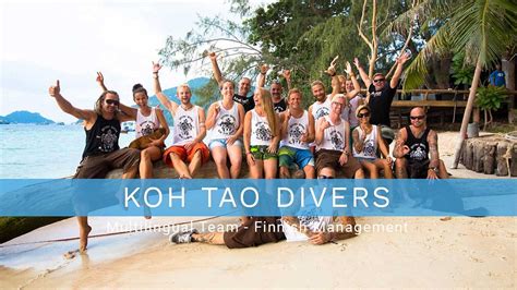 Koh Tao Divers All You Need To Know Before You Go With Photos