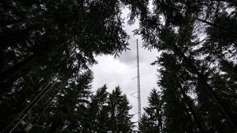 nya eu regler för skogen sverige får tuffast klimatmål nyheter ekot sveriges radio
