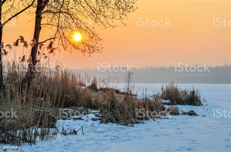 Beautiful Winter Sunrise Stock Photo Download Image Now