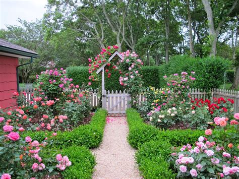 22 Summer Flower To Brighten Your Cottage Garden Ideas Talkdecor
