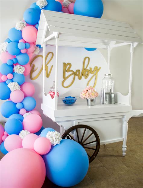Rent This Baby Shower Gender Reveal Birthday Backdrop Balloon