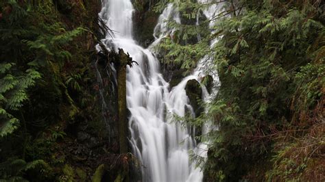 35 Beautiful Waterfalls Vancouver Island Offers