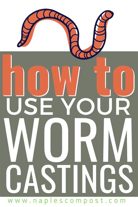 How To Use Worm Castings The Compost Culture