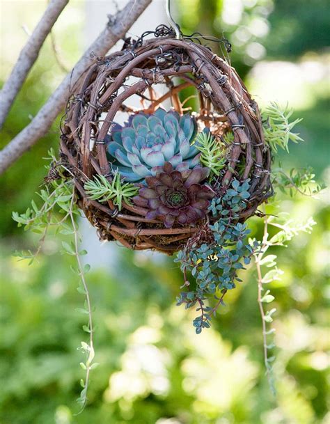 To minimize predation, birds may use or build nests that are inaccessible, hidden, or camouflaged. 17 Absolutely-Stunning Outdoor Hanging Planter Ideas to ...