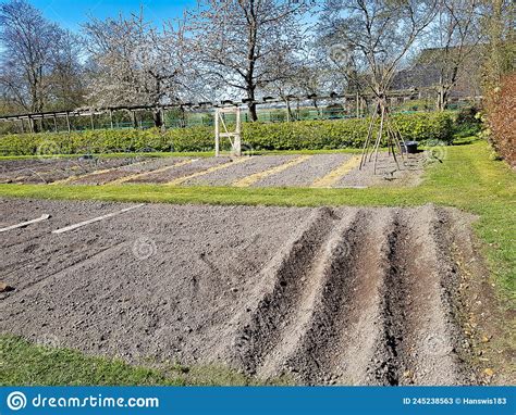 Vegetable Garden In Early Spring Stock Image Image Of Agricultural