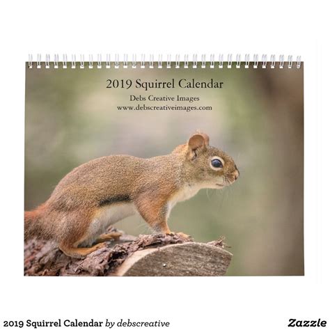 2019 Squirrel Calendar Squirrel Images Of Squirrels Calendar