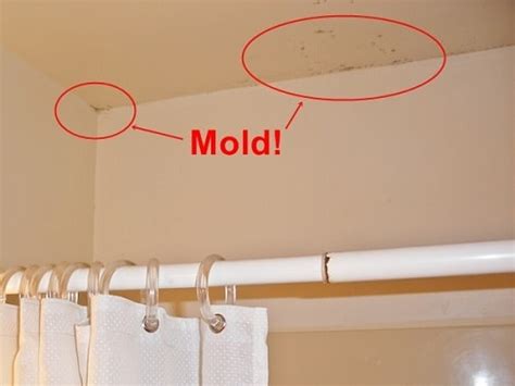 But if the mold was triggered by a leak, the damage is probably on both sides. Mold Removal Bathroom Ceiling | Easiest Tips and DIY Guides