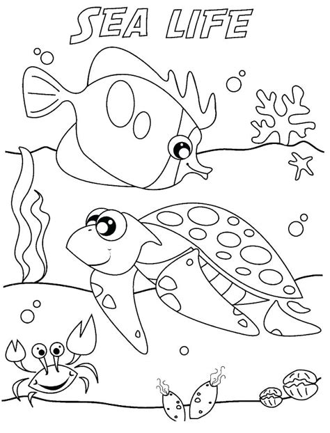 Desert Habitat Coloring Pages At Free