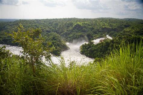 Murchison Falls National Park Day Safari With Boat Cruise Getyourguide