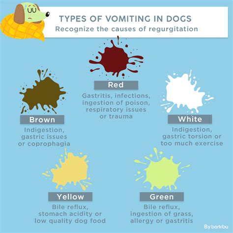 It happens when he has an empty stomach and too much stomach acid; My dog vomits a dark brown liquid and does not eat, what's ...