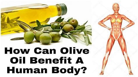 How Can Olive Oil Benefit A Human Body Youtube
