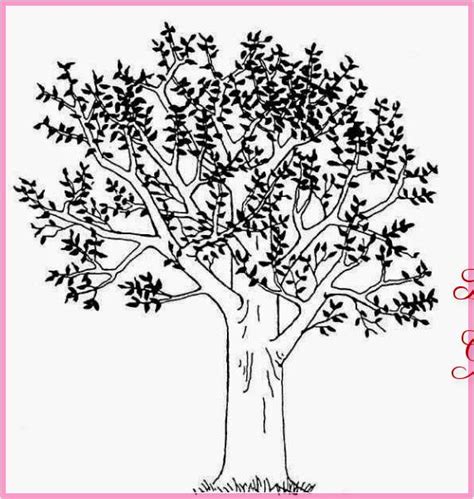 Inspirasi 31 Sketsa Pohon Mangga