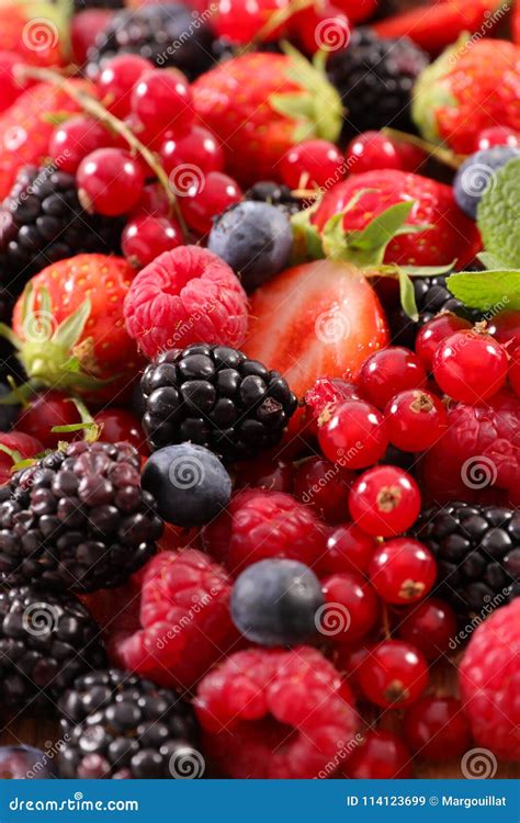 Assortment Of Berries Stock Image Image Of Diet Fruit 114123699