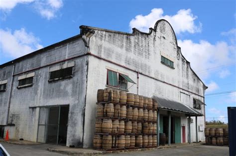 touring the mount gay distillery in barbados the wanderlust effect