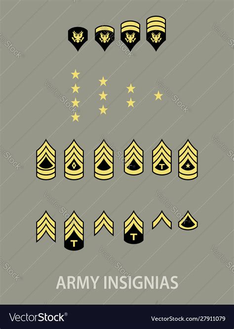 Army Military Insignia Royalty Free Vector Image