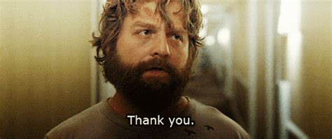 Thank you all 162 gifs. Zach Galifianakis Thank You GIF - Find & Share on GIPHY