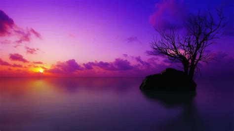 Download Majestic Purple Sunset Wallpaper
